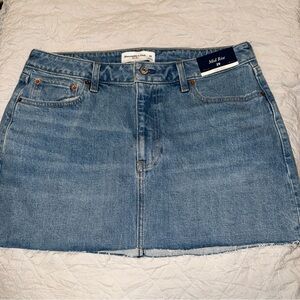 Abercrombie & Fitch Blue Mini Skirt
